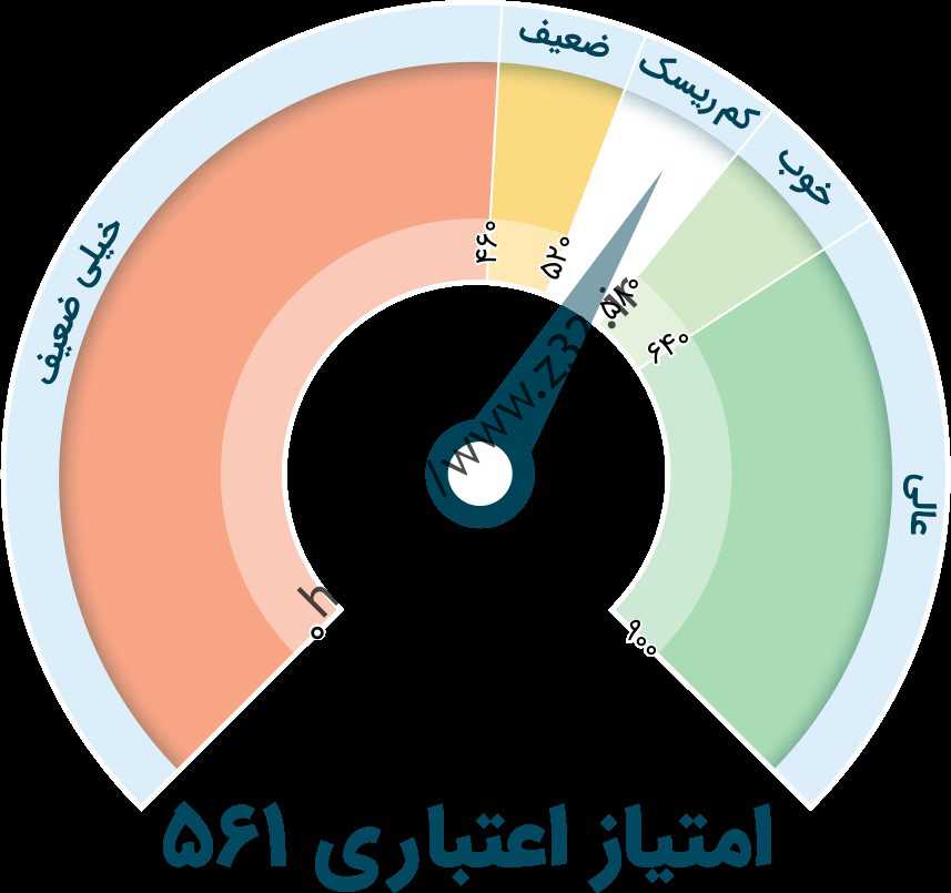 ونگی بررسی اعتباری برای دریافت وام بدون ضامن